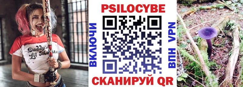 Псилоцибиновые грибы Psilocybe  Инта 